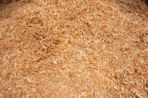 Teak Wood Sawdust Texture Background — Stock Photo, Image