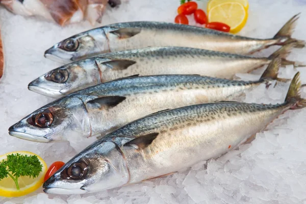 Frische Makrele oder Saba-Fisch auf Eis auf dem Markt — Stockfoto