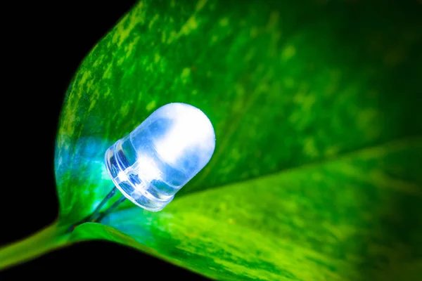 Lâmpada LED com folha verde, energia ECO economizar Lâmpada conceito mundo lig — Fotografia de Stock