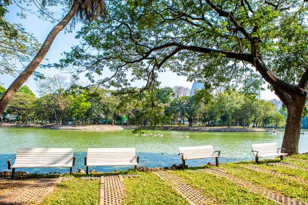 Ławce w parku pod wielkie drzewo z widokiem na wodę lub jeziora — Zdjęcie stockowe