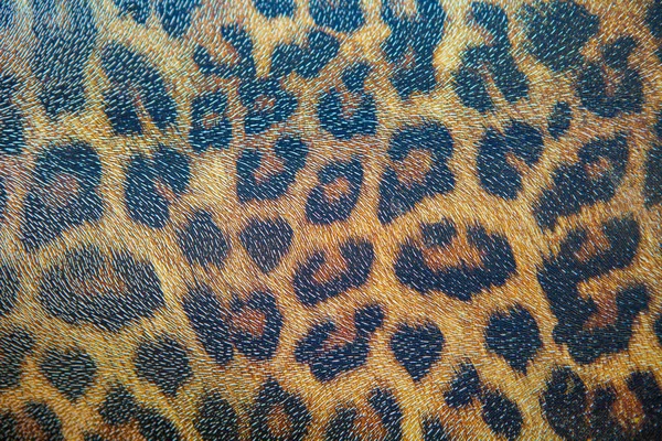 Detalle texturizado de fondo de piel de leopardo —  Fotos de Stock