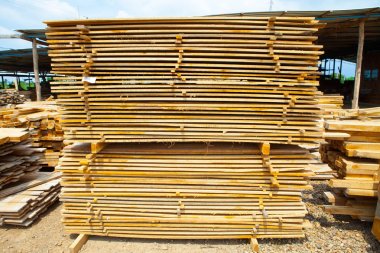 Kereste tik ahşap plakalar yığını. Tahta kazık 