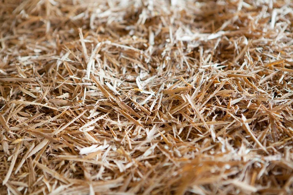 Pile of wooden shavings background — Stock Photo, Image