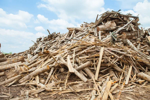 Stack of teak wood log — Stock Photo, Image