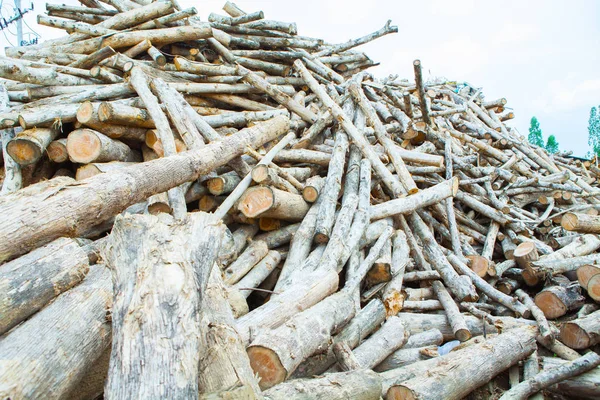 Stack of teak wood log — Stock Photo, Image