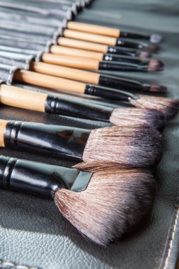 Makyaj fırçaları satır siyah deri kapağı durumda ayarla
