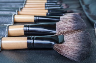 Makyaj fırçaları satır siyah deri kapağı durumda ayarla