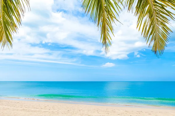 yaz plaj mavi gökyüzü palmiye ağaçlarının ile