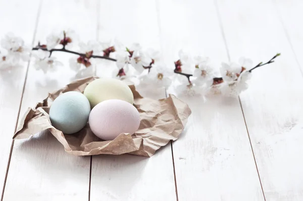 Ovos coloridos com flores em um fundo de madeira branco . — Fotografia de Stock