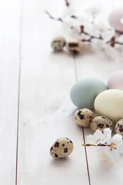 Huevos de gallina de color y huevos de codorniz con flores sobre un fondo de madera blanca . — Foto de Stock