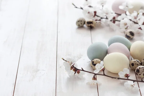 Ovos de galinha coloridos e ovos de codorna com flores em um fundo de madeira branca . — Fotografia de Stock