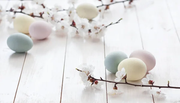 Huevos de colores con flores sobre un fondo de madera blanca . — Foto de Stock