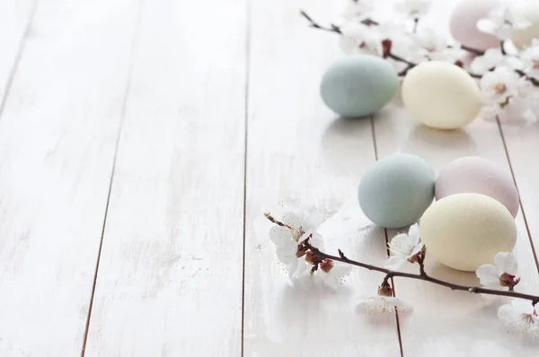 Ovos coloridos com flores em um fundo de madeira branco . — Fotografia de Stock