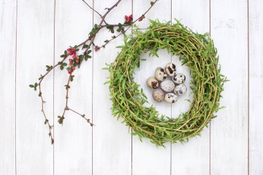 Bıldırcın yumurtası Beyaz ahşap zemin üzerinde bir yuvada bileşimi