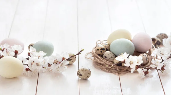 Ovos Coloridos Ovos Codorna Com Flores Fundo Madeira Branca Conceito — Fotografia de Stock
