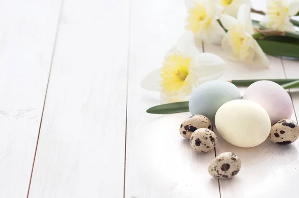 Composición Pascua Pollo Coloreado Huevos Codorniz Con Flores Narciso Sobre — Foto de Stock