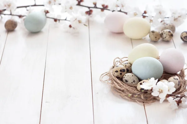 Gefärbte Eier Und Wachteleier Mit Blumen Auf Weißem Holzgrund Das — Stockfoto