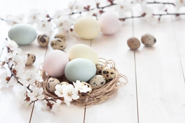 Gefärbte Eier Und Wachteleier Mit Blumen Auf Weißem Holzgrund Das — Stockfoto