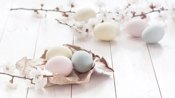 Huevos Colores Con Flores Sobre Fondo Madera Blanca Concepto Fiesta — Foto de Stock