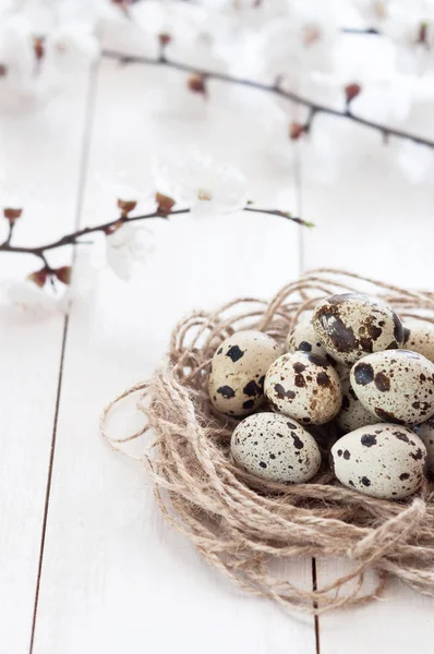 Osterlichter Hintergrund Getönte Wirkung Osterkomposition Aus Wachteleiern Einem Nest Mit — Stockfoto