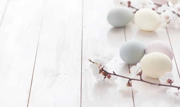 Ovos Coloridos Com Flores Fundo Madeira Branco Conceito Feriado Páscoa — Fotografia de Stock