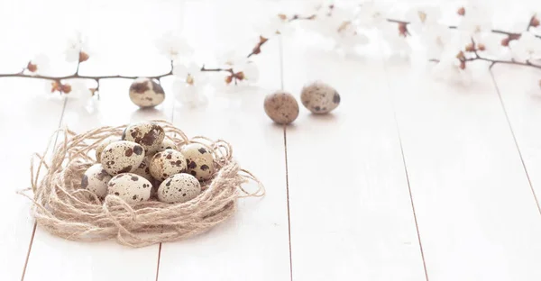 Osterlichter Hintergrund Getönte Wirkung Osterkomposition Aus Wachteleiern Einem Nest Mit — Stockfoto