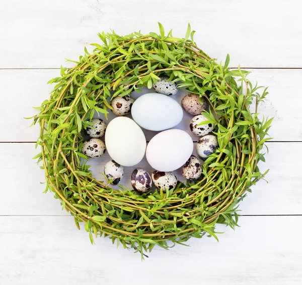 Osterkomposition Aus Wachteleiern Einem Nest Aus Grünen Weidenzweigen Auf Weißem — Stockfoto