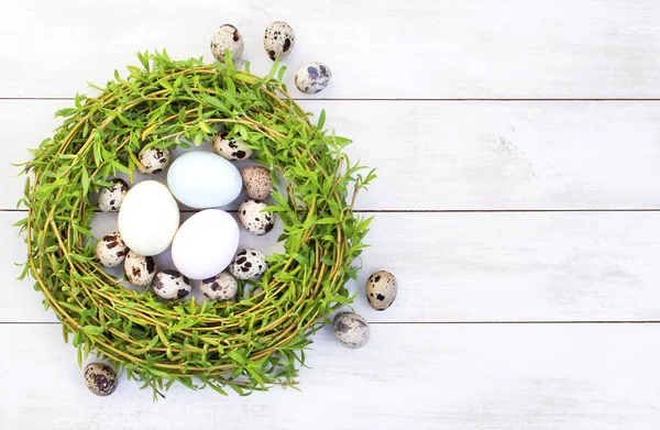 Osterkomposition Aus Wachteleiern Einem Nest Aus Grünen Weidenzweigen Auf Weißem — Stockfoto