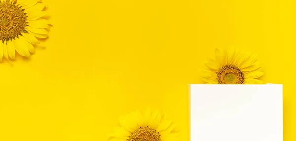 Piękny świeży słonecznik i biały worek na papierze prezent na żółtym tle. Płaskie ułożenie, widok z góry, przestrzeń kopiowania. Jesień lub lato Koncepcja, czas zbiorów, rolnictwo. Słonecznik naturalne tło. Karta kwiatowa — Zdjęcie stockowe