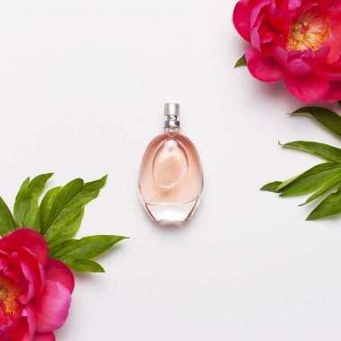 Parfüm şişesi ve pembe çiçekler şakayık açık gri arka plan üst görünüm Düz kopyalama alanı yatıyordu. Parfümeri, kozmetik, kadın aksesuarları, koku koleksiyonu. Narin Pembe Parfüm Şişesi