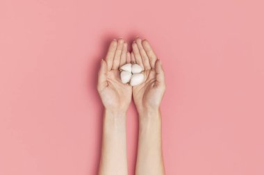 Pamuklu yaratıcı kompozisyon. Pembe arka planda beyaz pamuk çiçekleri tutan genç bir kadının elleri. Üst görünüm düz kopya alanı. Pamuk çiçekleri. Yaşam tarzı nazik arkaplan