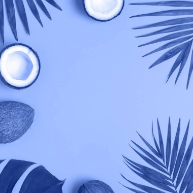Tropikal yapraklar ve taze hindistan cevizi. Düz konum, üst görünüm, kopyalama alanı. Yaz geçmişi, doğa. Yaratıcı sağlıklı gıda konsepti, hindistan cevizinin yarısı. Yılın Rengi 2020 Klasik Mavi