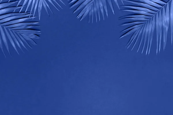 Тропические пальмовые листья на голубом фоне. Плоская лежала, вид сверху, копировальное пространство. Летний фон, природа. Творческий минимальный фон с тропическими листьями. Рисунок листьев. Классический синий цвет 2020 года — стоковое фото
