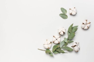 Düz çiçek kompozisyon yatıyordu. Açık gri arka planda pamuk çiçekler ve taze okaliptüs dallar. Üst görünüm, kopya alanı. Hassas Beyaz Pamuk çiçekler. Çiçek arka plan, tebrik kartı
