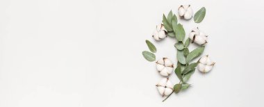 Düz çiçek kompozisyon yatıyordu. Açık gri arka planda pamuk çiçekler ve taze okaliptüs dallar. Üst görünüm, kopya alanı. Hassas Beyaz Pamuk çiçekler. Çiçek arka plan, tebrik kartı