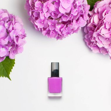 Dekoratif kozmetikler, oje. Pembe ortanca üst görünümü Düz çiçekler ihya açık arka plan üzerinde manikür çivi için farklı vernikler seti mock yatıyordu. Kadın kozmetikleri. Güzellik blogger kavramı