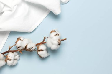 Düz, güzel pamuk dalları ve beyaz pamuk kumaşları mavi arka plan üst manzara kopya uzayının üzerinde yatıyordu. Narin beyaz pamuk çiçekleri. Açık renkli pamuk arka plan. Eko tekstil