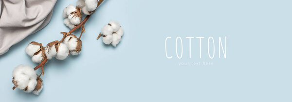 Flat lay Beautiful cotton branch and gray natural cotton fabric on blue background top view copy space. Delicate white cotton flowers. Light color cotton background. Eco textiles