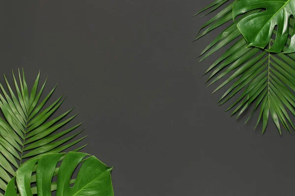 Tropical palm leaves and monstera leaf on gray black background. Flat lay, top view, copy space. Summer background, nature. Creative minimal background with tropical leaves. Leaf pattern.