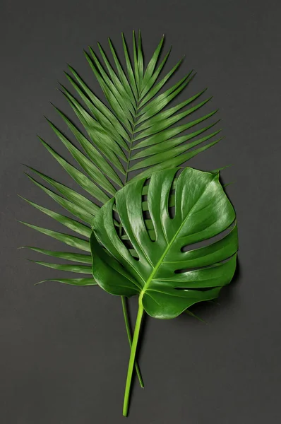 Tropical palm leaves and monstera leaf on gray black background. Flat lay, top view, copy space. Summer background, nature. Creative minimal background with tropical leaves. Leaf pattern.