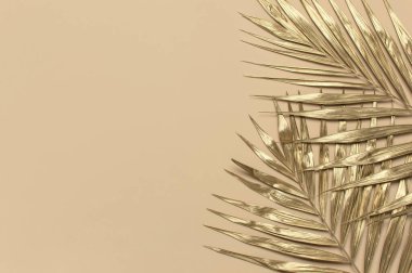 Bej arka planda altın renkli tropikal palmiye yaprakları düz üst görünüm fotokopi alanında yatıyordu. Tropikal yapraklı yaratıcı yaz geçmişi. Altın arkaplan, asgari doğa kavramı.
