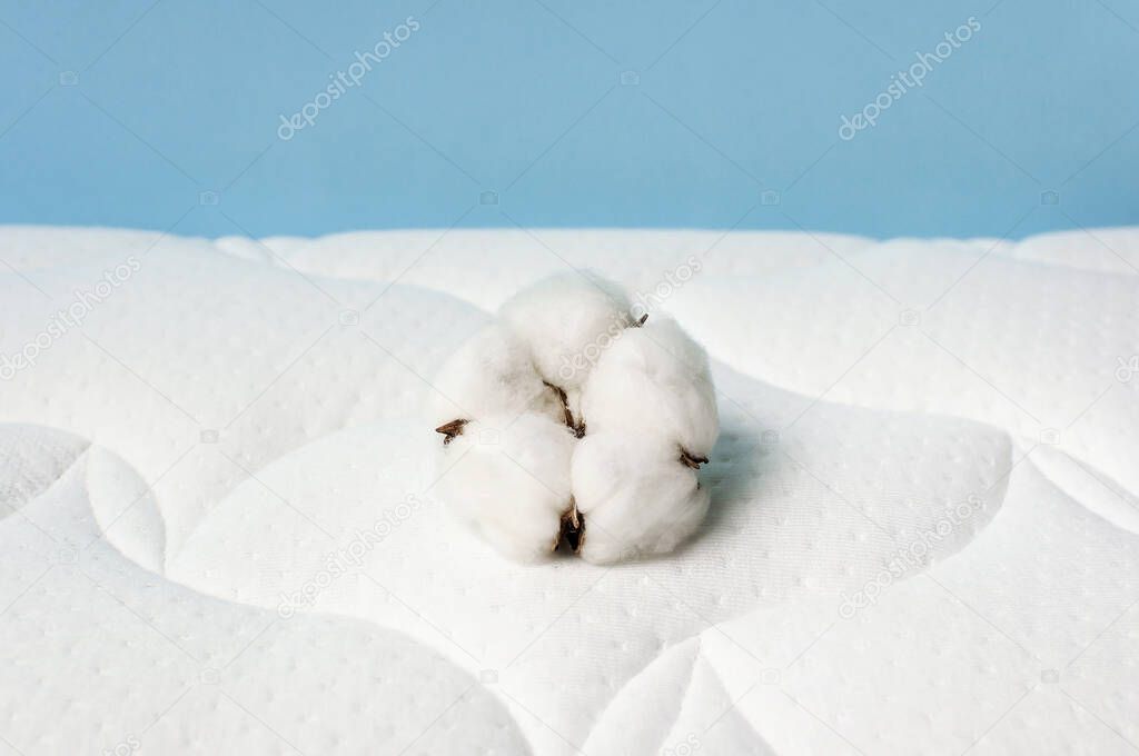 Cotton flowers on a comfortable mattress texture background top view. White texture of mattress bedding background. Healthy sleep concept, comfortable bed. Tender air background with cotton.