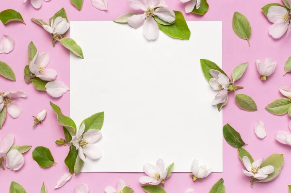 Творча Весна Мінімальна Концепція Красиві Квітучі Весняні Квіти Зеленим Листям — стокове фото