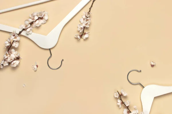 Creatief Voorjaarsverkoopconcept Witte Houten Hangers Met Lentetakken Van Abrikozenbloemen Beige — Stockfoto