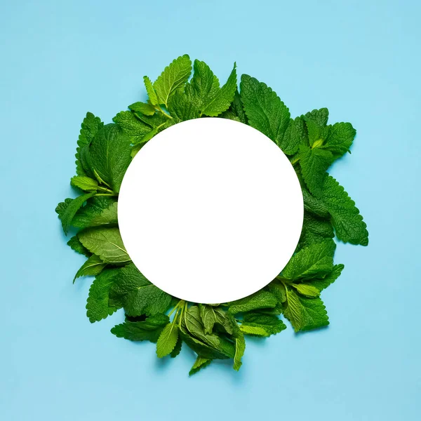 Fresh green leaves of mint, lemon balm, peppermint and white blank paper on blue background top view. Mint leaf texture. Ecology natural layout. Flat lay Mint leaves pattern spearmint herbs nature