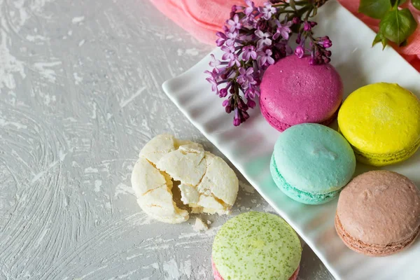 Macaroons of different tastes and a lilac branch place under the text — Stock Photo, Image