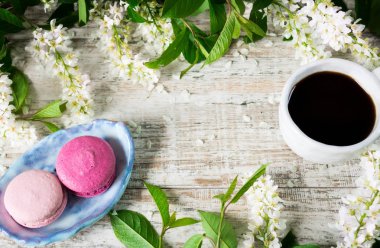 Hafif ahşap arka plan ve kuş-kiraz Şubeler farklı macaroons