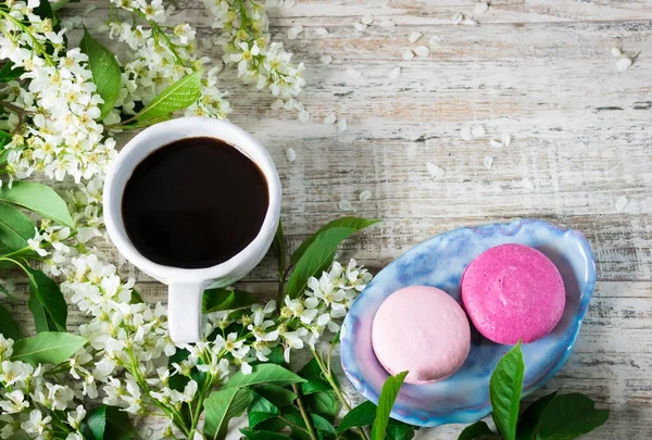 Hafif ahşap arka plan ve kuş-kiraz Şubeler farklı macaroons