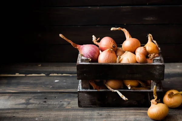 Karanlık bir arka plan üzerinde bir ahşap kutu soğan