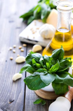 İtalyan pesto sos yapmak için taze malzemeler